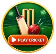 Play cricket with freelance